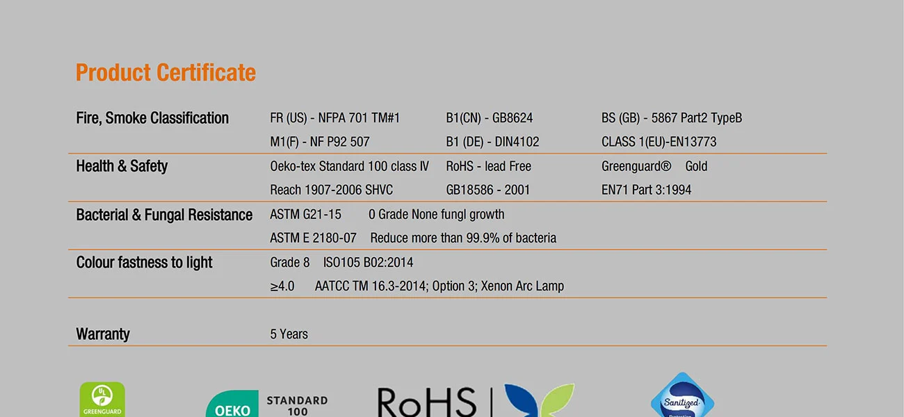 Clear Vision Clear Vision